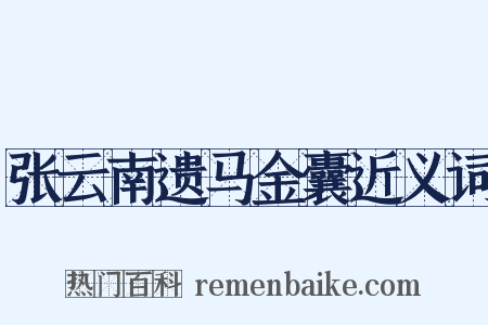 张云南遗马金囊近义词是什么意思的图片